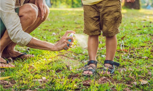 related content image