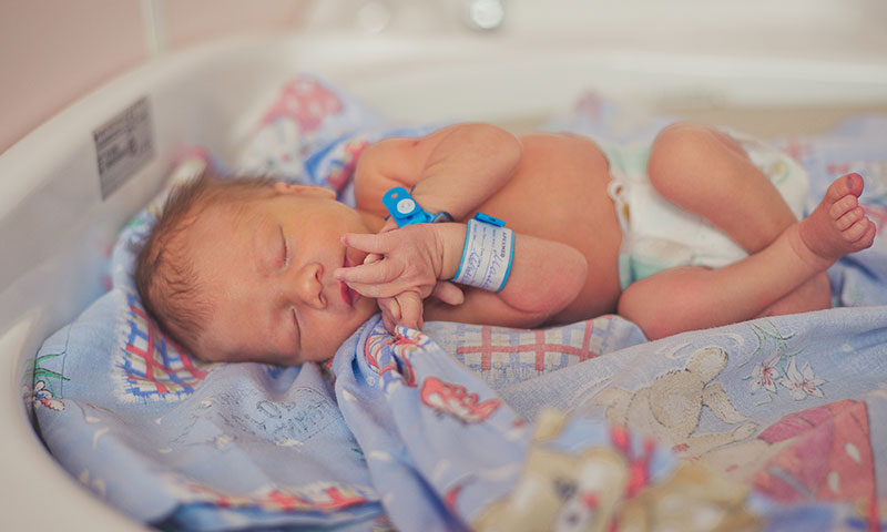 Main Content Intro Image