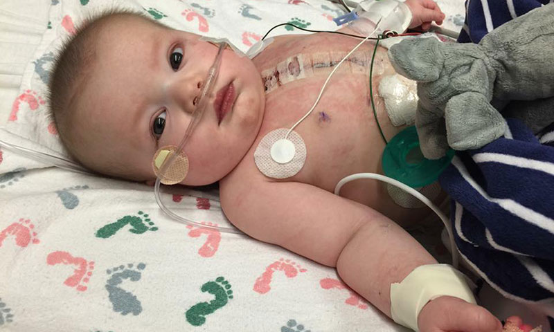 Main Content Intro Image