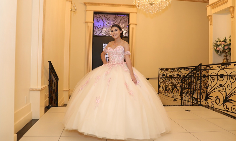 Main Content Intro Image