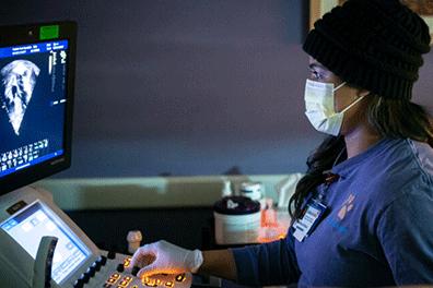 PHS_Plano(J230113512)-396x264