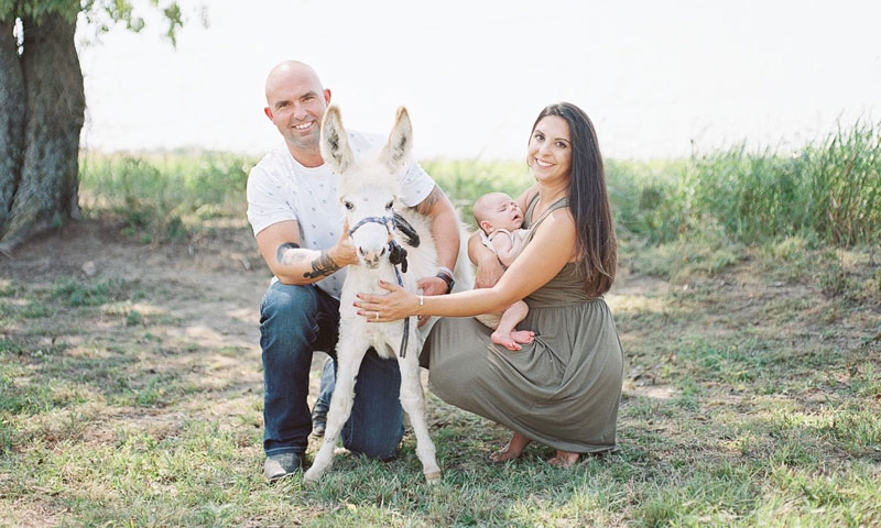 Main Content Intro Image