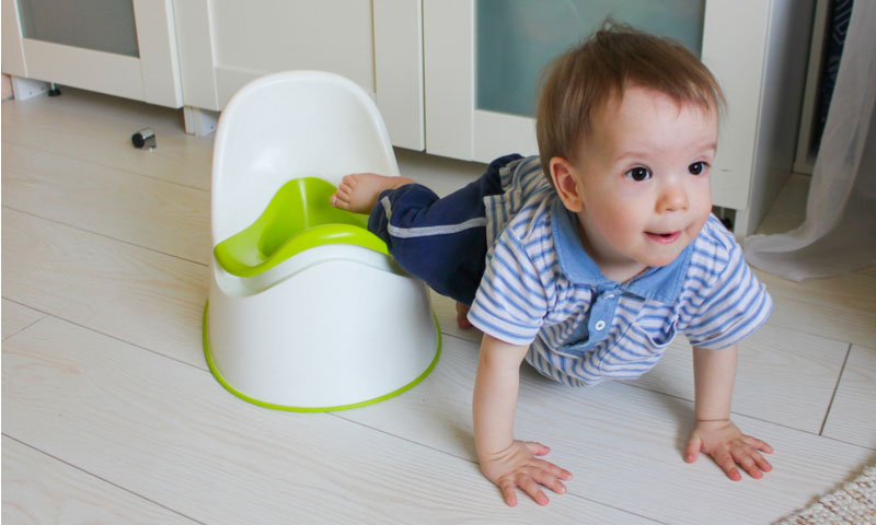 Main Content Intro Image