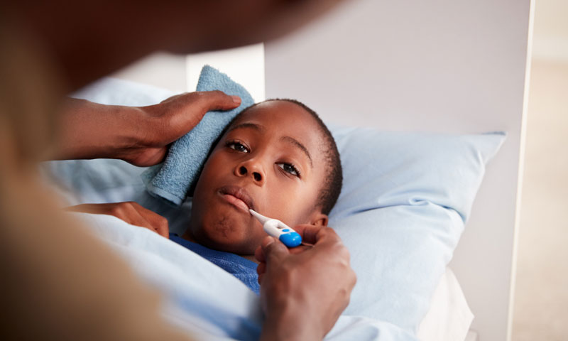 Main Content Intro Image