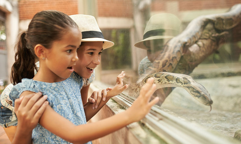 Main Content Intro Image